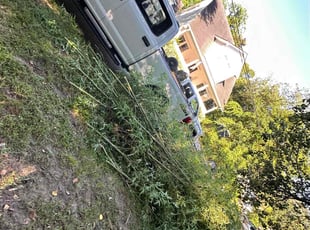 Cleanups by Felix Garcia for Cheryl G. in Mount Pleasant, SC
