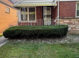 Bush Trimming by Rene Canelo for JOHNNY C. in Chicago, IL