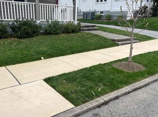 Kirk S.'s Yard Cutting service result