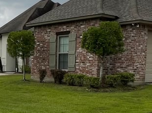 Bush Trimming by Jake Anderson for Chris P. in Prairieville, LA