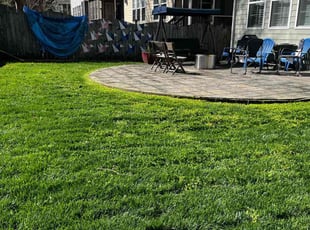 Cheryl L.'s Lawn Mowing service result