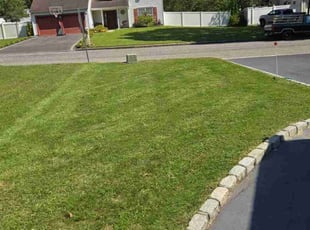 Lisa N.'s Lawn Mowing service result