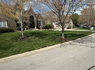 Dillon G.'s Lawn Mowing service result