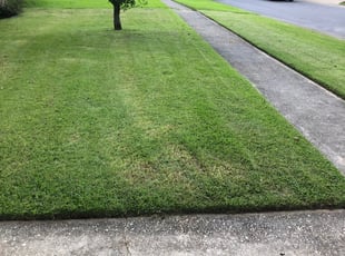 Cleanups by Alex Scurria for Vonnie H. in Baton Rouge, LA