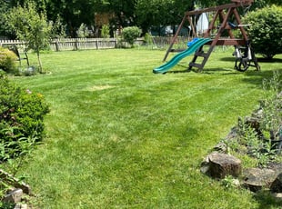 Jessie p.'s Lawn Maintenance service result