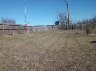 Leaf Removal by Nathaniel Lamers for Sarah K. in Fort Worth, TX