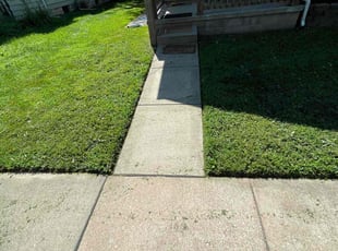 Toni S.'s Lawn Service service result
