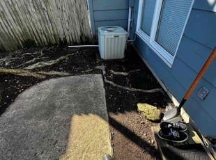 Leaf Removal by Derek Walker for Stephanie l. in Virginia Beach, VA