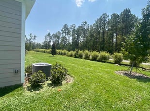 Adrian L.'s Lawn Mowing service result