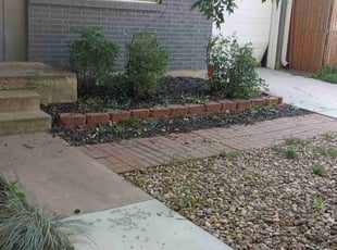 Bush Trimming by Alley Parker for Maylene A. in Arvada, CO