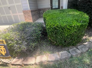 Bush Trimming by Ross Stevens for Robert U. in Woodstock, GA