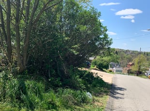 Bush Trimming by Jonathan Griser for Paulette T. in West Mifflin, PA