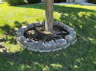 Weeding by David Williamson for Brenda F. in Abingdon, MD