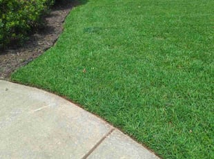 Christian S.'s Lawn Mowing service result
