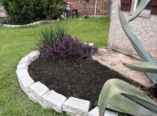 Weeding by Jose Gil for Jamie S. in Pearland, TX