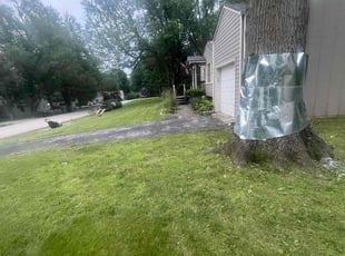 Cleanups by Matthew Krebs for Michael B. in Raytown, MO