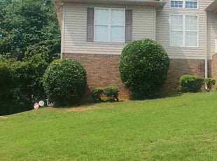 Bush Trimming by Charles Rice for Edwin S. in Odenville, AL