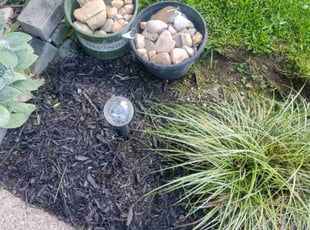 Weeding by Matt Brady for Nancy M. in Warminster, PA
