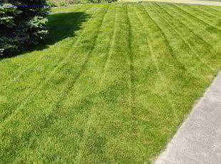 John S.'s Yard Cutting service result