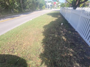 Cleanups by Rick Buricca for Barbara F. in Delray Beach, FL