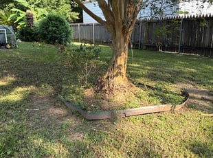 Bush Trimming by Zackery Deshotels for Edward P. in Lafayette, LA