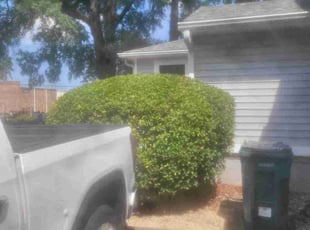 Bush Trimming by Mike Williams for Maurice N. in Richmond, VA