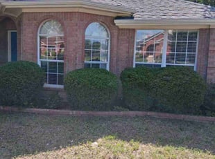 Bush Trimming by Marcedes Ginn for Jolly P. in Allen, TX