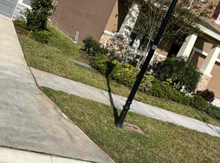 Michael M.'s Lawn Service service result