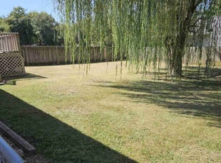Madeline H.'s Lawn Mowing Service service result
