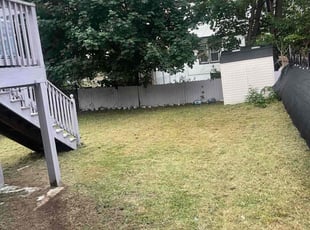 George S.'s Lawn Mowing service result