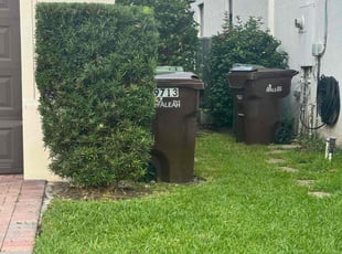 Bush Trimming by Breylin Rapalo for Marquisha H. in Hialeah, FL