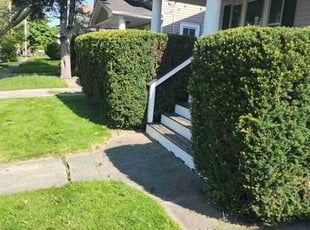 Bush Trimming by Richard Vonderau for Mercedes M. in Cleveland, OH