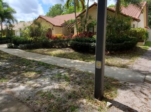 Leaf Removal by Jayson Brown for Ryan W. in Boca Raton, FL
