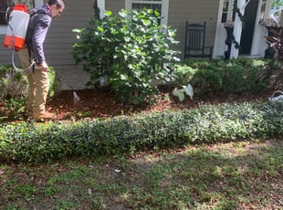Weeding by Carlos Gonzalez for Britany H. in Haines City, FL
