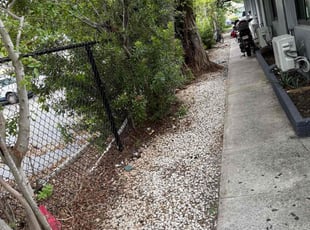 Cleanups by Erickson Lucien for Alexander P. in North Miami Beach, FL