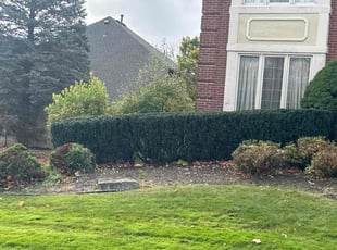 Bush Trimming by Charles Cromwell for Geneva T. in Farmington Hills, MI
