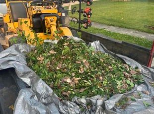 Bush Trimming by Ryan Perry for Mason G. in Stow, OH