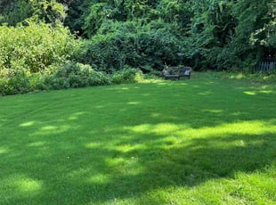 Tim H.'s Lawn Mowing service result
