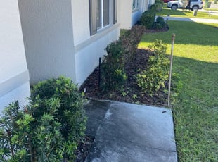 Bush Trimming by Robert Johnson for Autumn A. in Winter Haven, FL
