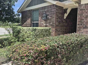 Bush Trimming by Jimmy Saucedo for Jason B. in Austin, TX