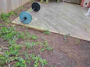 Leaf Removal by Edwin Villagran for Karen S. in Silver Spring, MD