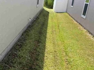 Emily S.'s Grass Cutting service result