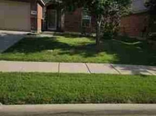 Trish A.'s Lawn Service service result