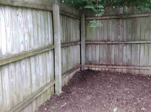 Cleanups by Jonathan Lightfoot for Cynthia M. in Kansas City, MO