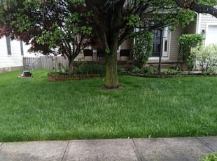 Bush Trimming by Jason Fetters for Tahira G. in Pickerington, OH