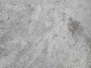Leaf Removal by Brandon Sanders for Beryl A. in North Charleston, SC