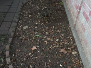 Weeding by Brandon Aldana for Darnell M. in Houston, TX