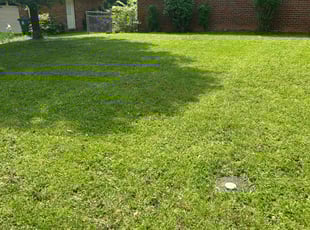 Bush Trimming by Logan Brady for Charles S. in Chattanooga, TN