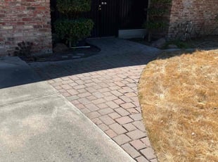 Bush Trimming by Juan Martinez for Sara L. in Stockton, CA