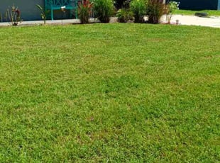 Long N.'s Lawn Service service result